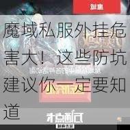 魔域私服外挂危害大！这些防坑建议你一定要知道  第2张