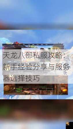 天龙八部私服攻略：新手经验分享与服务器选择技巧  第3张