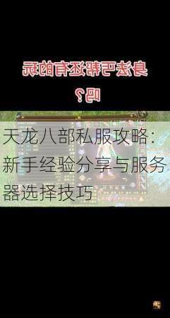 天龙八部私服攻略：新手经验分享与服务器选择技巧  第1张