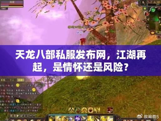 天龙八部私服是什么？好处、风险全解析，玩家必看  第4张