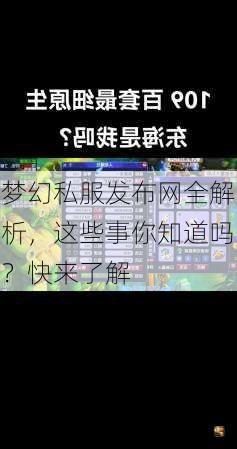 梦幻私服发布网全解析，这些事你知道吗？快来了解