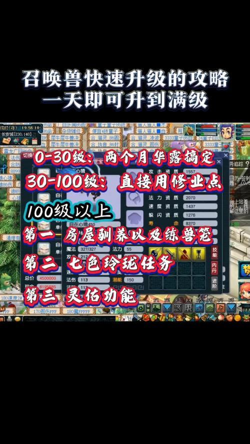 梦幻西游sf攻略大揭秘！资源丰富升级快，快来了解