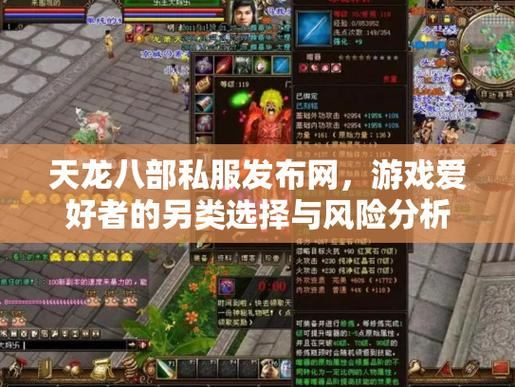 玩天龙私服有门道？能玩但风险大，这些内在问题你要知道