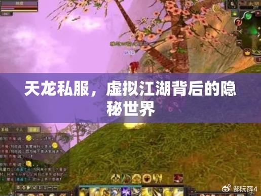 天龙私服指南：自由度、平衡性与安全性全解析