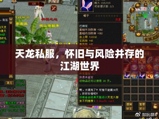 天龙私服指南:自由度、平衡性与安全性全解析 第4张 天龙私服指南:自由度、平衡性与安全性全解析 第4张