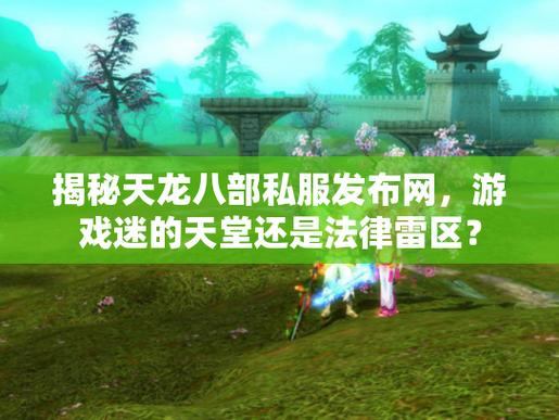 天龙八部SF私服乱象揭秘：违规、监管逃避与玩家须知